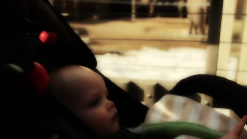A baby boy in his stroller watching  at the zoo