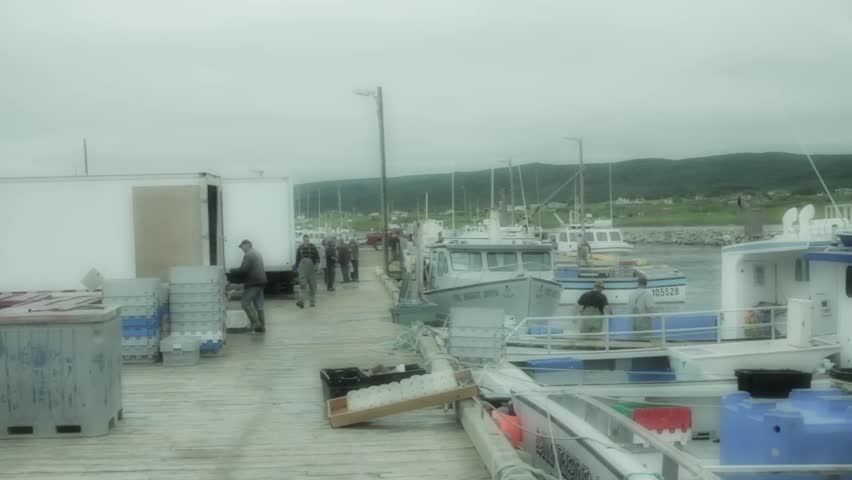 Fishermen at the marina returning from catching lobsters