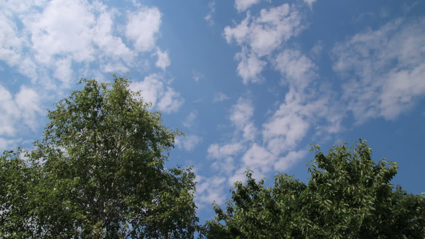 Trees and Clouds
Time lapse scene.