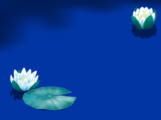 Fish jumping out of the water 