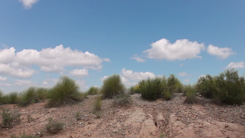 Bushes of grass on the sand. Clouds run fast across the sky - timelapse