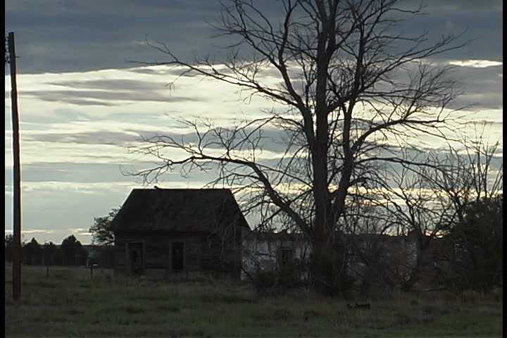 Abandoned farm houses and tall leafless tree at dusk in Albuquerque, New Mexico.