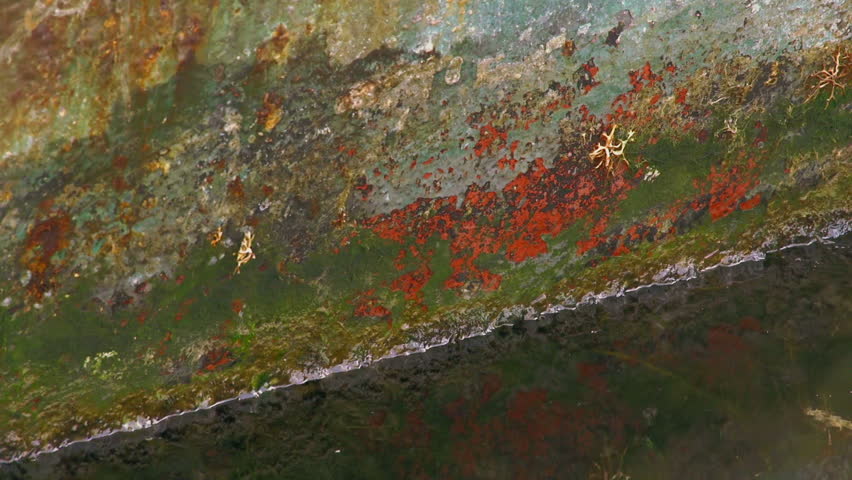 Rusty and corroded boat hull gently bobs in harbor 