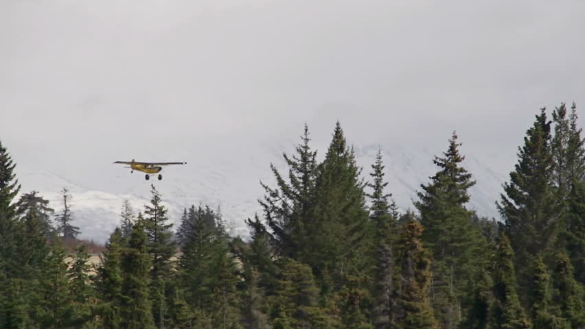 Yellow Bush Plane Taking Off over Treetops into Cloudy Sky