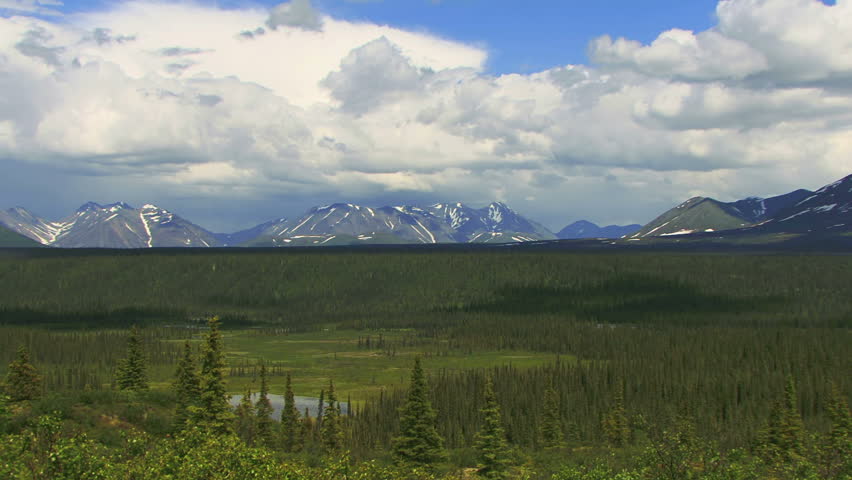 Timelapse shot of spruce forest and lake with mountains seen from an overlook