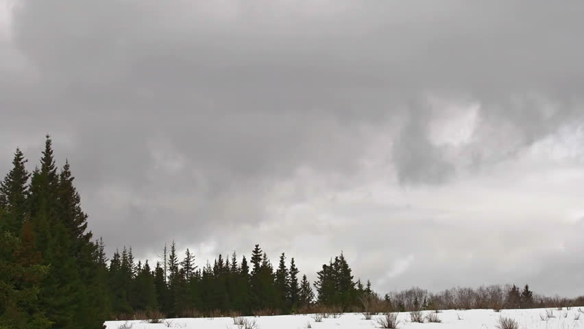Fast timelapse of brooding storm clouds moving over spruce forest in snowy