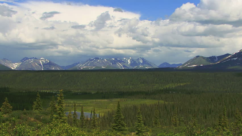 Spruce forest and lake seen from an overlook off the Denali Highway in Alaska