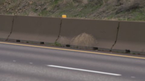Tumbleweeds blowing together on freeway as traffic rolls by