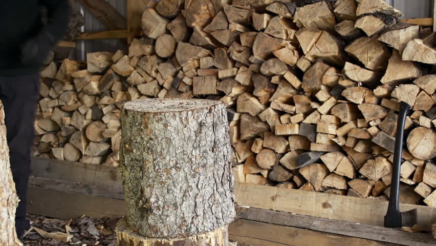 Man in splitting stubborn spruce round of firewood