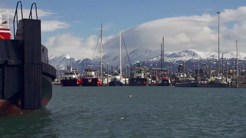 Tugs and utility boats at Homer Harbor, Alaska