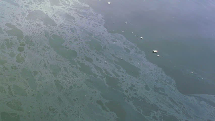 Leaked fuel oil from an industrial boat floats shines in harbor waters