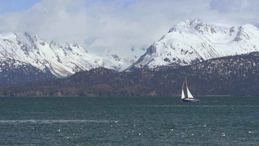 A pretty sailboat passes in front of the Kenai Mountains overlooking Kachemak