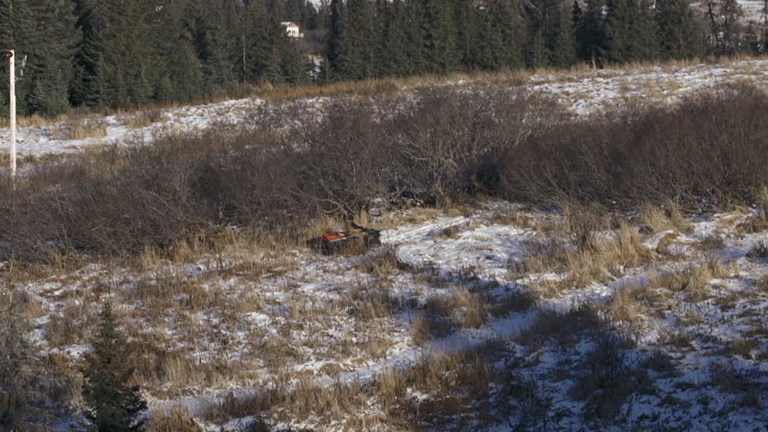 Man rides six-wheel All-Terrain Vehicle on a trail into heavy thicket in Alaska