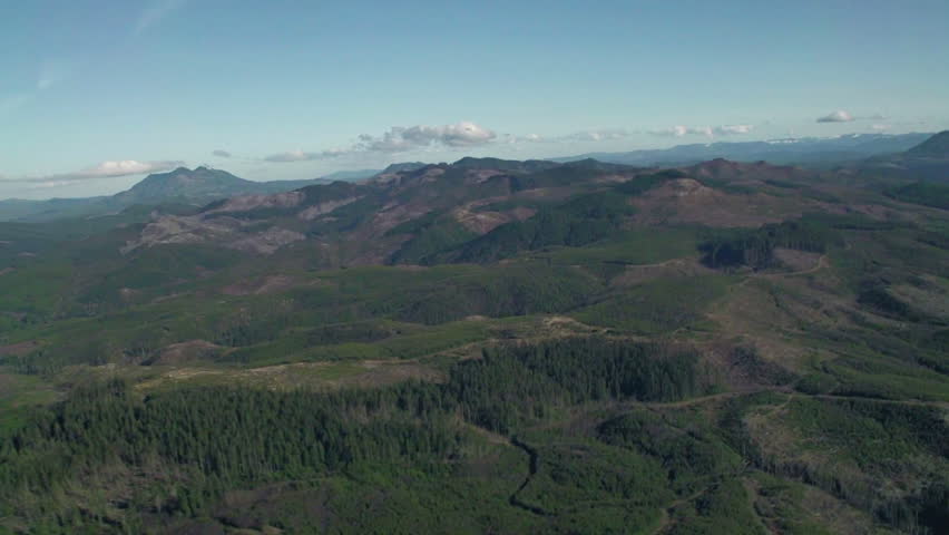Aerial view of logging clear cuts in hills near Seaside, Oregon