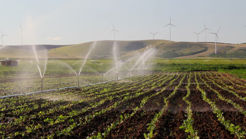Sprinkler irrigation with turbines in the background ...
