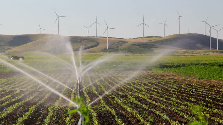 Sprinkler irrigation with turbines in the background ...
