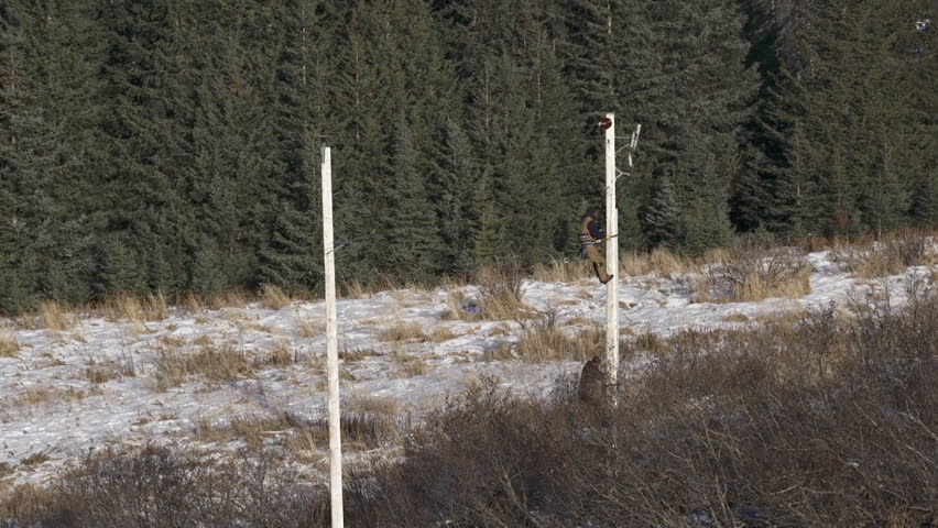 Two utility works climb an electricity pole in a snowy field on a sunny day in