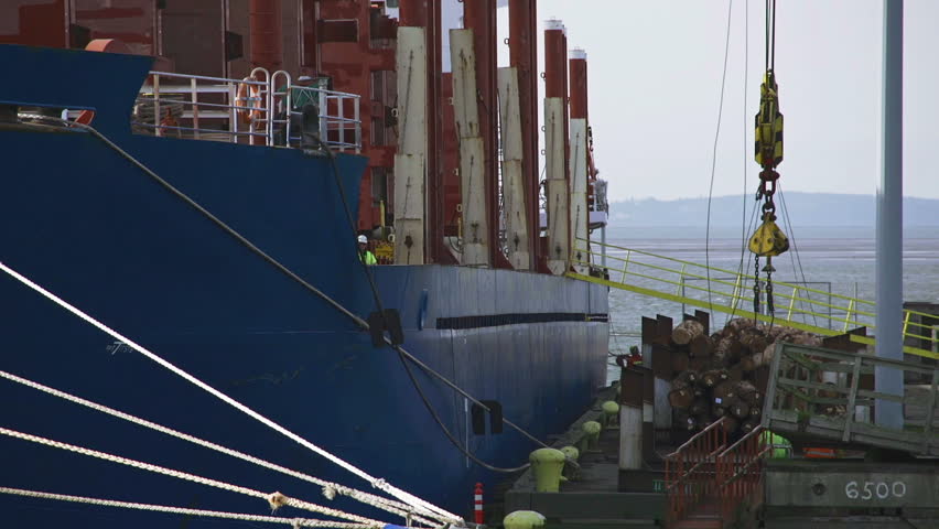 Large timber transport ship waits for shipment of wood at a commercial dock in