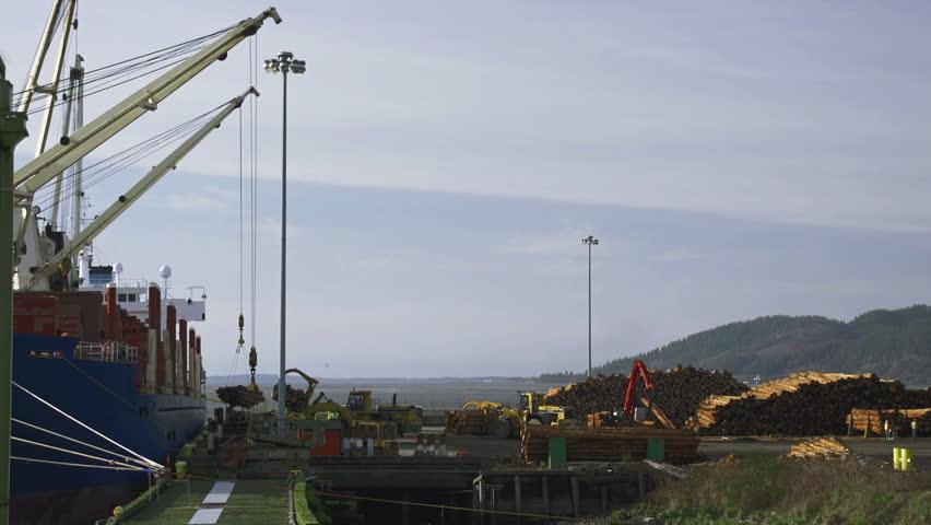 Heavy machinery carry timber logs from a loading deck while cranes hoist logs