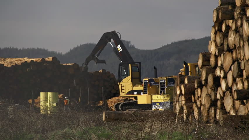 ASTORIA, OR - March 2013 - Heavy equipment prepares logs for shipment at a