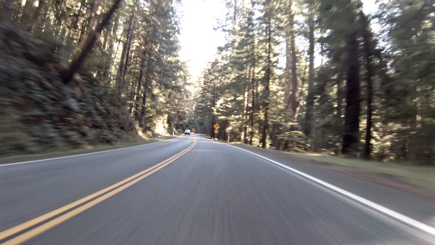 POV driving west on Highway 199 through the Jedidiah Smith Redwoods State Park,