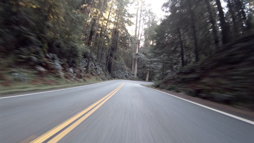 View driving on Highway 199 through the Jedidiah Smith Redwoods State Park in