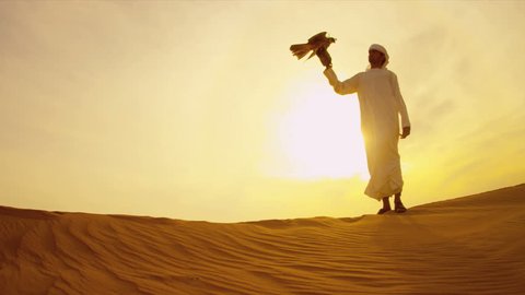 Arabic male white headdress desert sand sunset with trained Peregrine falcon on gloved wrist shot on RED EPIC