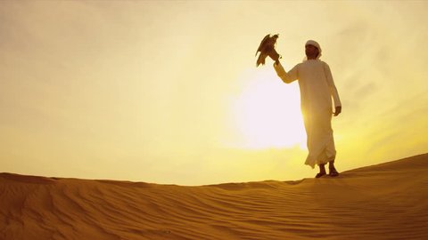 Trained bird of prey perching gloved wrist of middle eastern male owner at sunset desert location shot on RED EPIC