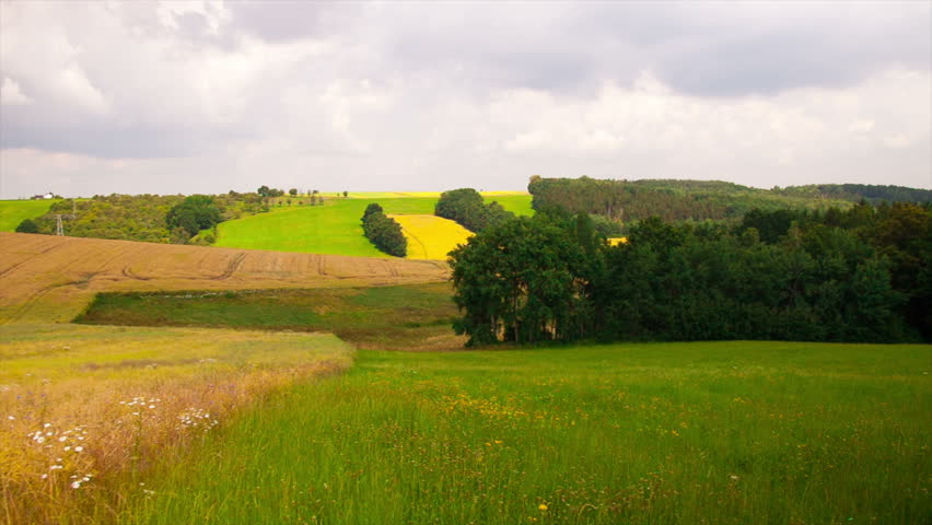 summer farm field