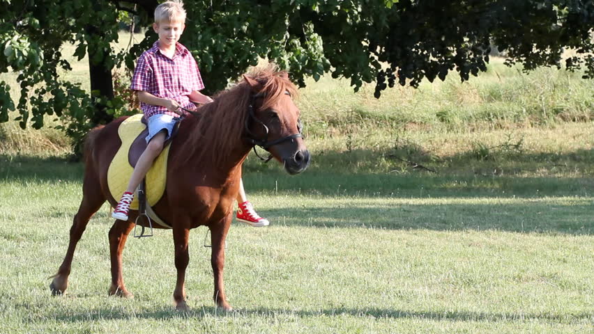 Download Boy Riding Pony Horse Stock Footage Video 100 Royalty Free 4343882 Shutterstock