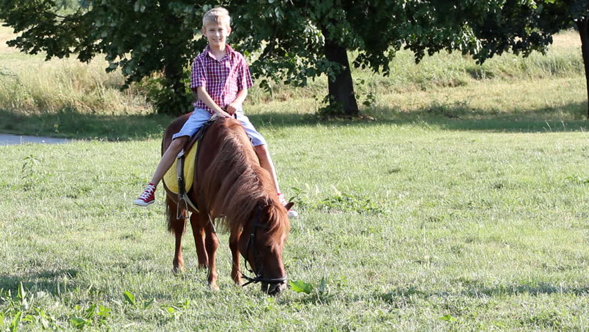 Download Happy Boy Riding Pony Horse Arkivvideomateriale 100 Royaltyfritt 4343894 Shutterstock