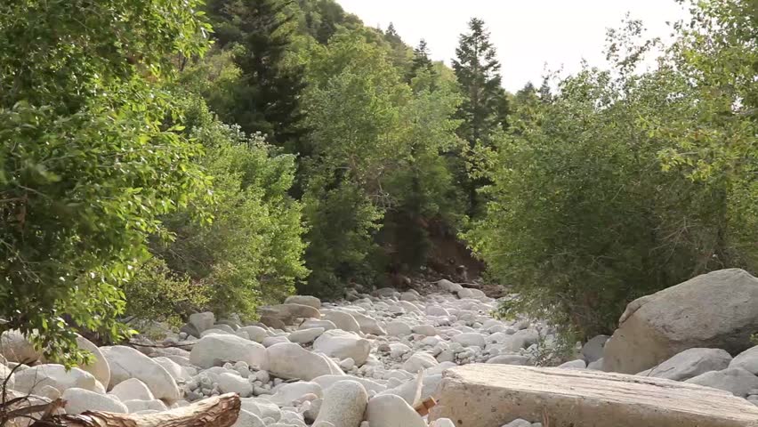 Dry stream bed with light rain 