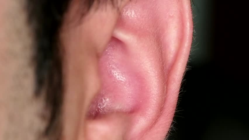 Closeup of a human ear.