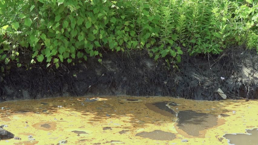 Contaminated source of water near vegetation.