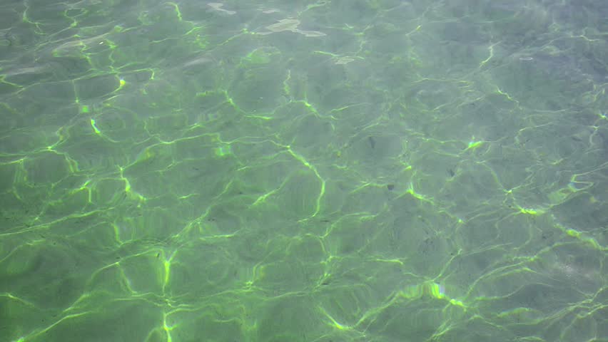 Natural swimming pool water