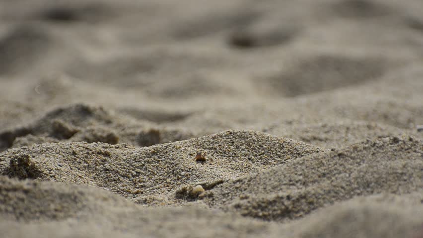 Footprints in the Sand. Walking on sand close up