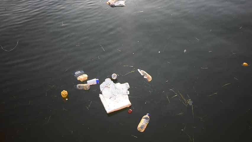 Environment: Swirling Trash Floating in Water