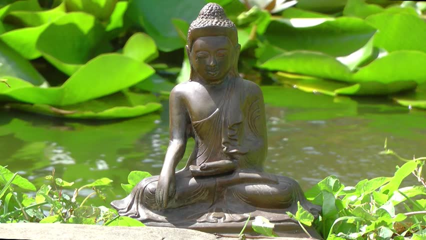 A seated statue of Buddha sits by a pool.