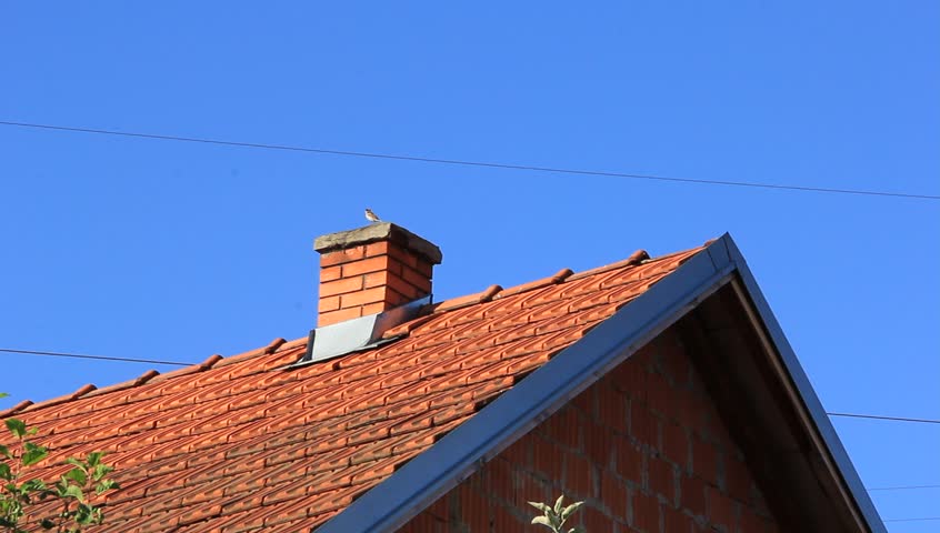 chimney sweep birds in fireplace