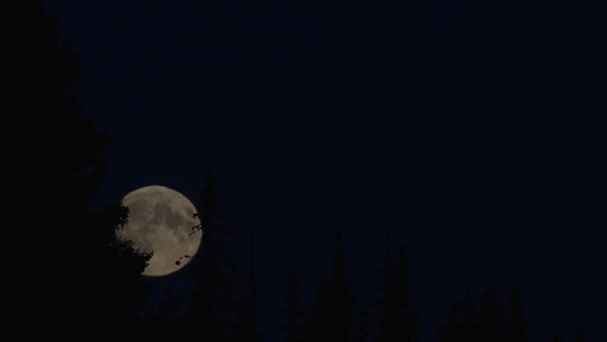 Time lapse of eerie full moon rising over an ominous spruce tree forest