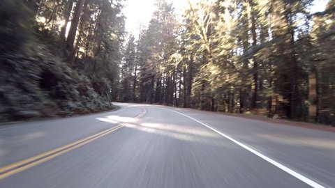 Driving view through Redwood forest on Highway 199 in California pov 