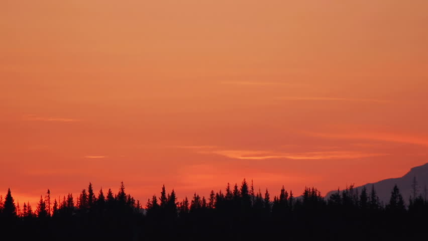 Time lapse of a beautiful red sunset with silhouetted forest as an airline flies