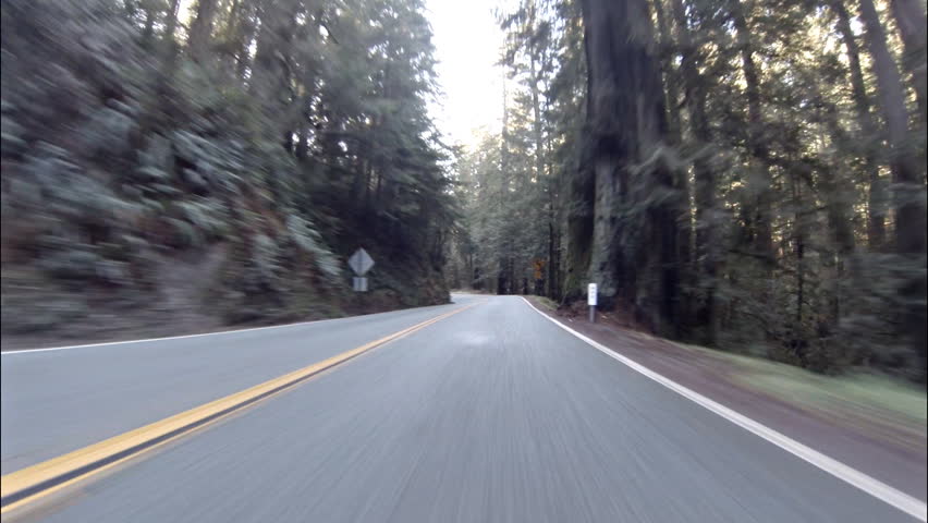 Time lapse POV view driving westward through Redwood forest on Highway 199 in