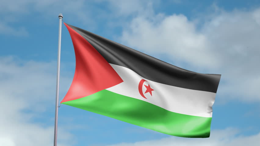 HD 1080p clip of a slow motion waving flag of Western Sahara. Seamless, 12