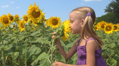 Child, Girl Playing with Sunflower in Agriculture Field, Children at Countryside