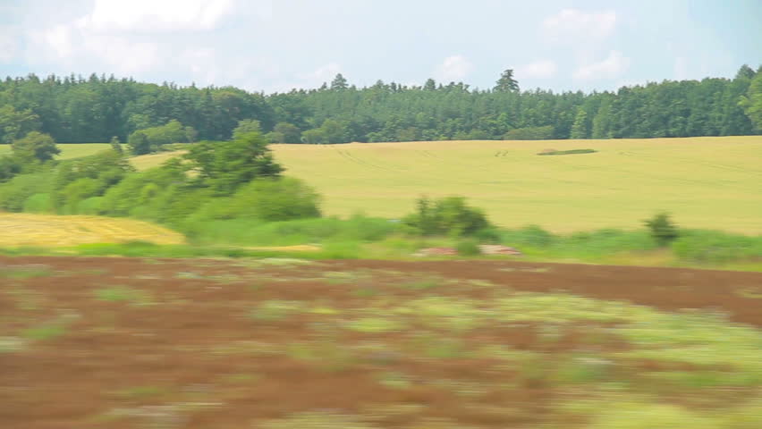 Train moving through green grassed countryside 