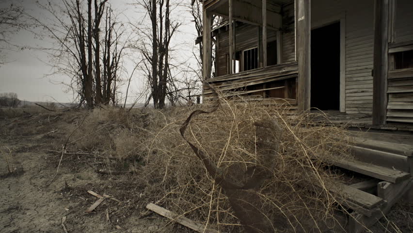 View of the overgrown yard and front porch of an old abandoned farmhouse in a