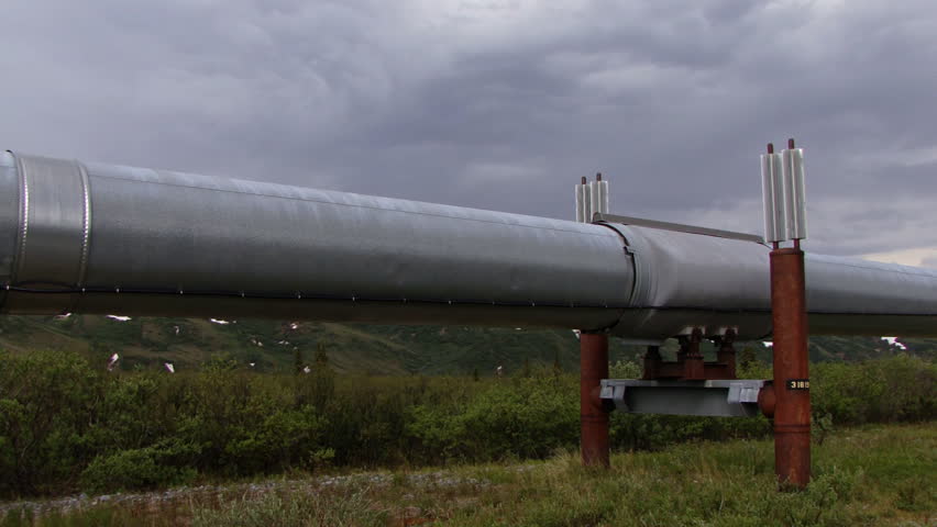 A view along the Alaska petroleum pipeline revealing access road and distant