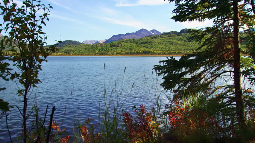 A scenic view of a clean blue lake and gentle rolling mountains from a forested