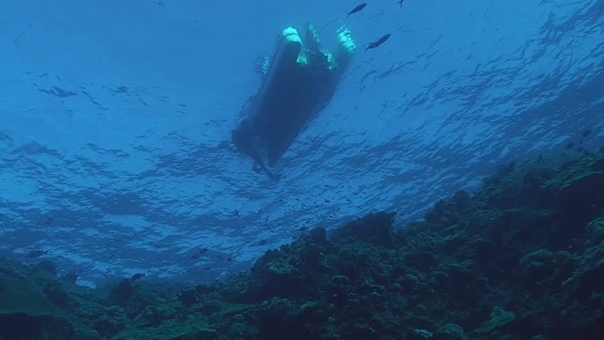 scuba diver and zodiac, under water view